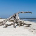 Where can i find good beaches near savannah georgia?