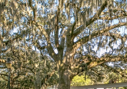 What is the best month to visit savannah georgia?