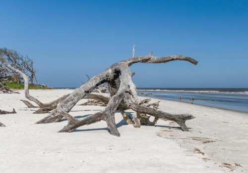 Where can i find good beaches near savannah georgia?