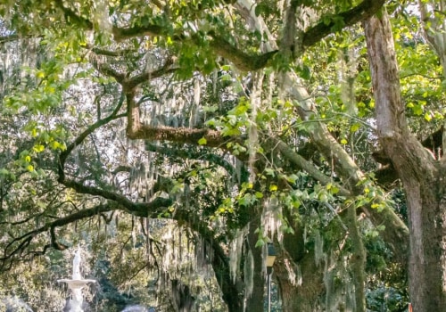 What is the popular park in savannah ga?